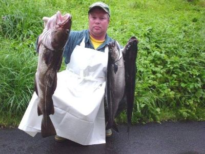 fisch-Bjornafjord